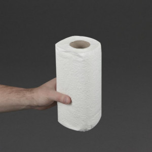 White 2-Ply Paper Towel - L 11.5 m - Pack of 24 - Jantex