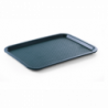 Rectangular Fast Food Tray - Large Size 450 x 350 mm - Green