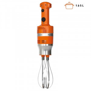 Mixeur Plongeant Junior Whisk - FourniResto.com