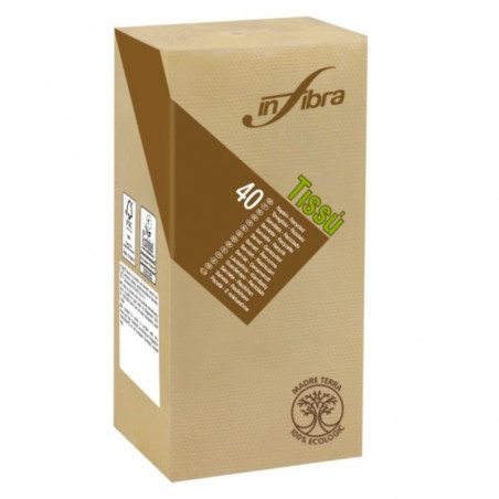 Madre Terra Cellulose 2 Ply Napkin - 38 x 38 - Pack of 720