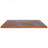 Couvercle de Protection G1, G2, G3, G4 Corten - ARTISS