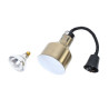 Golden Heating Lamp with Bulb - Dynasteel: Keep your food warm effectively