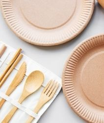 Eco-friendly Disposable Tableware