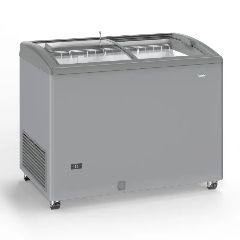 Καταψύκτης Όψης Inox με Συρόμενες Γυάλινες Πόρτες - 300 L