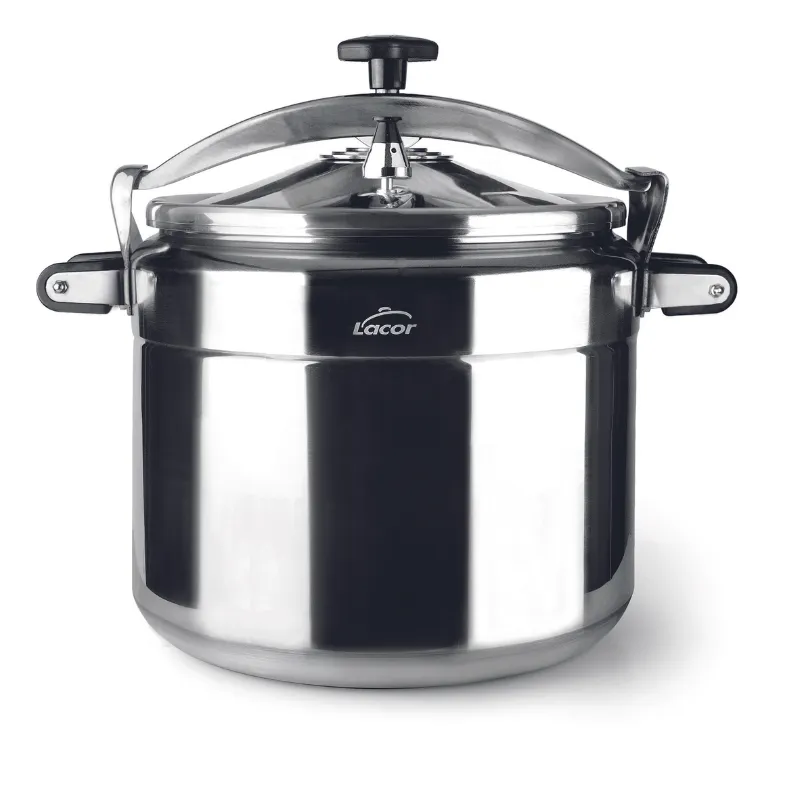 Χύτρα Ταχύτητας Pro-Classic - 11 L