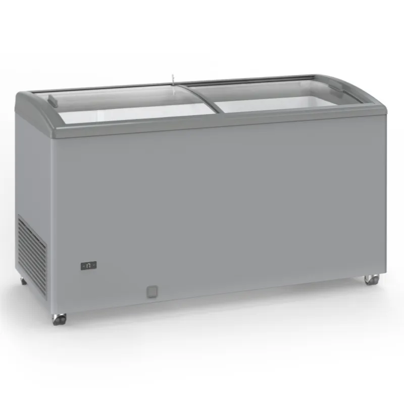 Καταψύκτης Όψης Inox με Συρόμενες Γυάλινες Πόρτες - 500 L