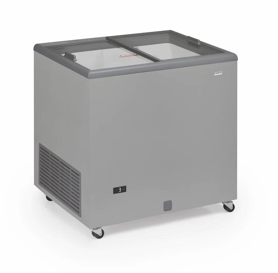 Καταψύκτης με Συρόμενες Γυάλινες Πόρτες - 220 L