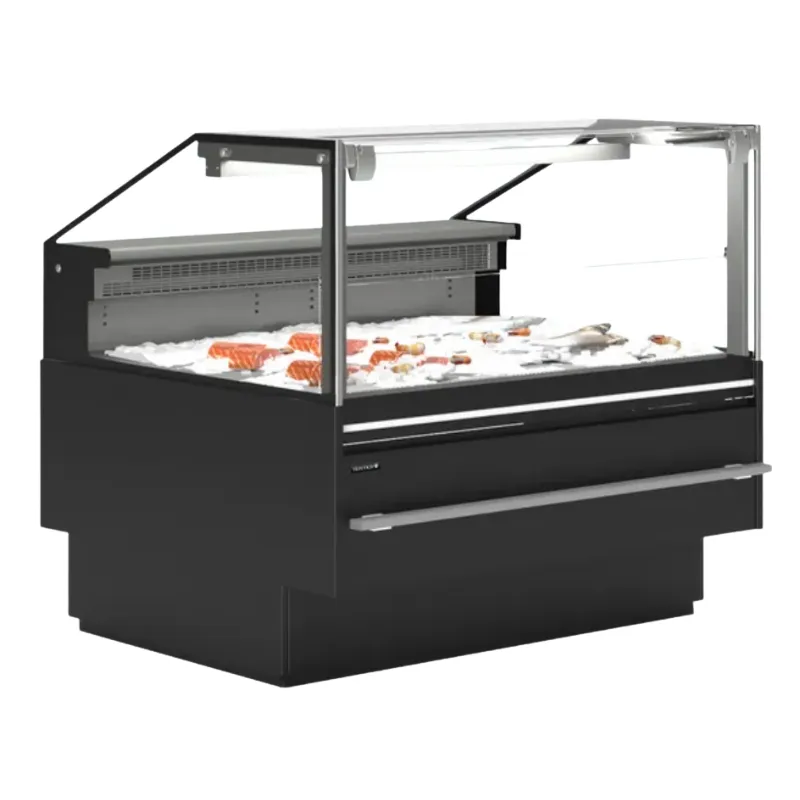 Προθήκη Υπηρεσίας Premium για Φρέσκο Ψάρι - 320 W