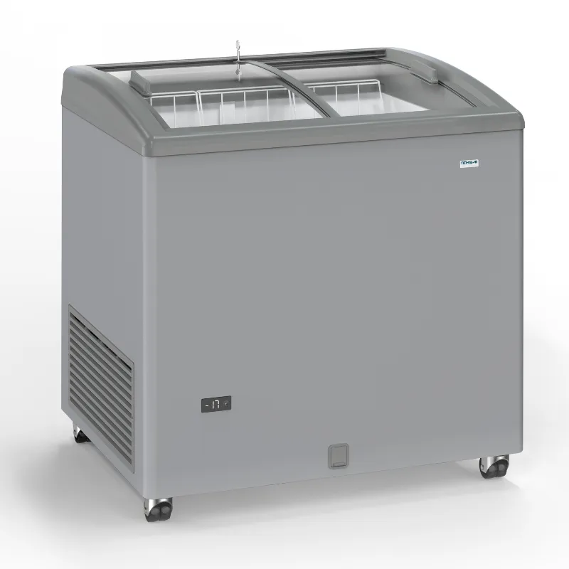 Καταψύκτης Όψης Inox με Συρόμενες Γυάλινες Πόρτες - 170 L - Ανακατασκευασμένο