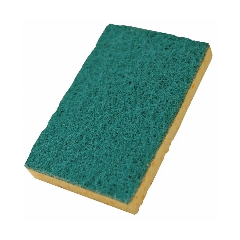 Éponge Végétale Grattante - 110 x 70 mm - Lot de 10
