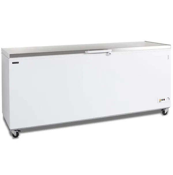 Καταψύκτης Μπαούλο με Καπάκι Inox - 600 L